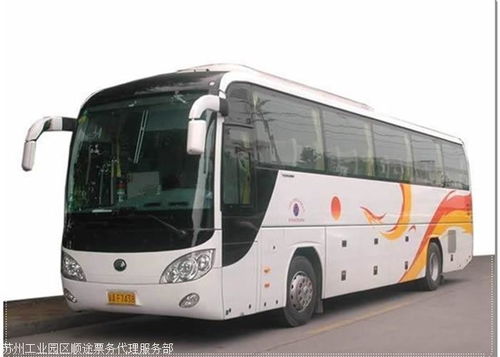 天津至惠州汽车出行全攻略 时刻查询、站点指南与票务服务