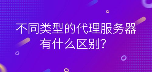 代理服务器与票务代理 从数据传输到服务体验的差异解析